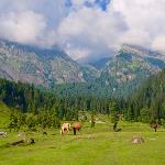 Travel: My Journey through Kashmir, the Misperceived Paradise of India