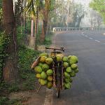 Travel: Sunderbans, the Land of Sundari!