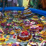 Telangana Community relives Bathukamma tradition