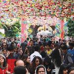 Culture: The World's Largest Book Mela