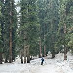 Travel: Kashmir On My Mind